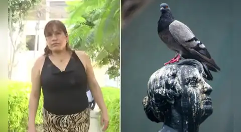 Mujer en VMT limpió excremento de paloma que cayó en su casa y perdió un dedo al contraer un hongo: "Era insoportable"