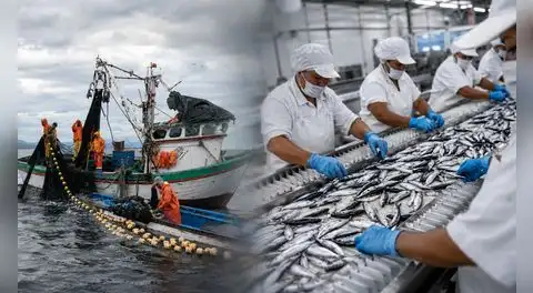 PBI peruano desacelera a 1,8% en mayo tras desplome de la pesca y caída de la manufactura