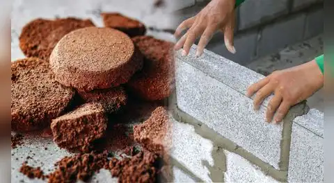 Los residuos de café son un tesoro: descubren un uso innovador que cambiaría la industria de la construcción