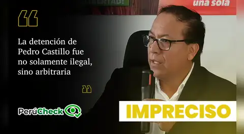 ¿La ONU declaró "arbitraria e ilegal" la detención de Pedro Castillo y exigió su liberación inmediata?