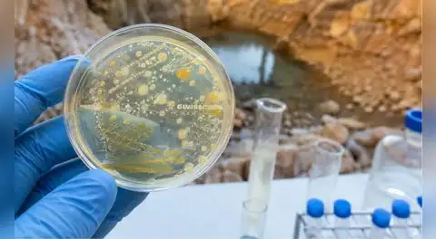 Científicos descubren bacterias capaces de inmovilizar hasta el 96% del uranio y abren una nueva vía para descontaminar el agua.