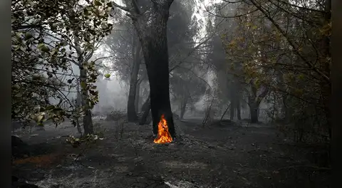 Diversos incendios forestales golpean España, Francia y Portugal en medio de temperaturas que podrían alcanzar los 40 °C