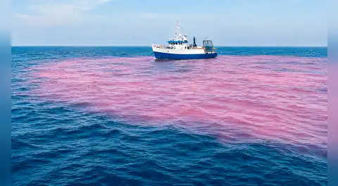 Científicos vierten 16.500 galones de soda cáustica y tiñen de rosa una parte del océano en un experimento contra el cambio climático