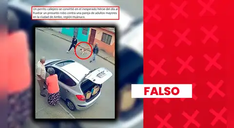 Video de perrito callejero enfrentándose a delincuentes “que pretendían asaltar a dos adultos mayores en Huánuco” no corresponde a un hecho real: se elaboró con IA