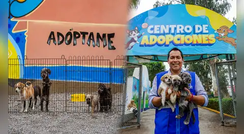 ¿Quieres adoptar un perro o gato rescatado? MML ofrece mascotas en adopción tras salvarlas del comercio ilegal en el Cercado: conoce los requisitos