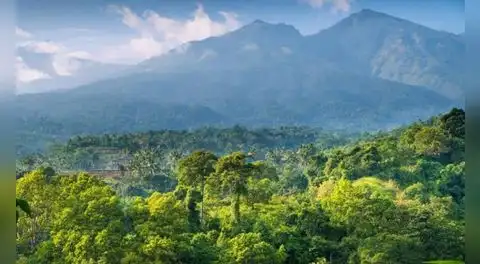 El megaproyecto urbano que cambiará la estructura de un país: se levanta en plena selva, costará US$33.000 millones y beneficiará a 1,9 millones