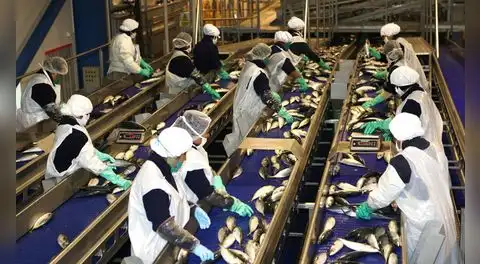 PBI creció 3,05% hasta junio, pero pesca y manufactura retrocedieron