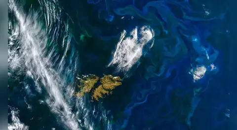 La NASA afirma que El Niño está alterando la vida marina: detectan disminución del fitoplancton en el Pacífico