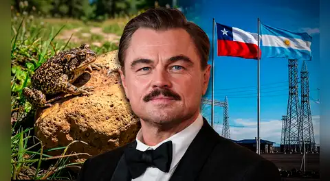El polémico proyecto eléctrico entre Chile y Argentina que generó rechazo, fue cuestionado por Leonardo DiCaprio y terminó paralizado por daños ambientales