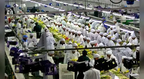 OCDE propone eliminar beneficio tributario de grandes agroexportadoras: pagan 15% de IR pese a su fuerte crecimiento