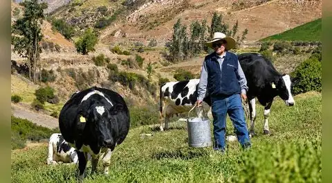 Ganaderos advierten que eventual derogatoria de norma sobre leche evaporada golpearía la producción nacional