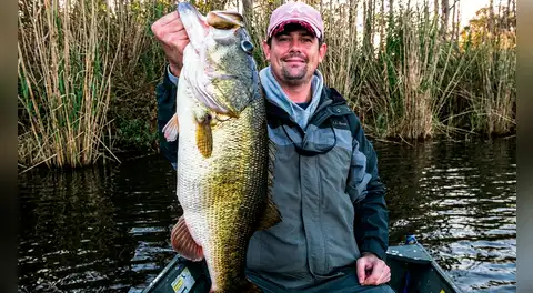 Un hombre transformó un antiguo terreno de maní en un lago para criar peces, pero no pensó que la fauna silvestre domine todo en solo 1.000 días