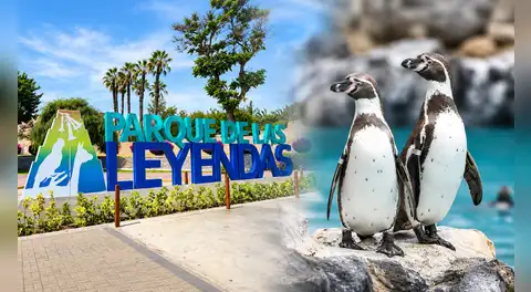 Parque de las Leyendas ofrecerá 50% de descuento en sus entradas para estas fechas de setiembre