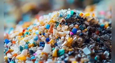 Revelan los 5 alimentos más contaminados con microplásticos y que consumimos habitualmente