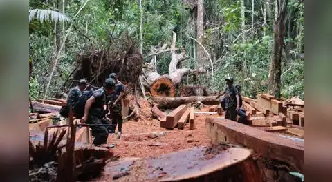 Mataron a 37 líderes amazónicos y otros 43 están bajo amenaza