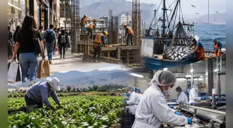 Economía peruana creció 3,56% en julio, pero pesca, agro e industria frenaron un mayor avance