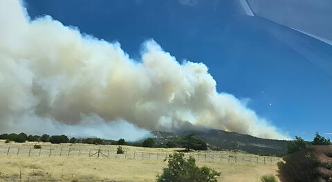 Wildfire Near Greer, Arizona forces evacuations as It spreads over 1,200 Acres