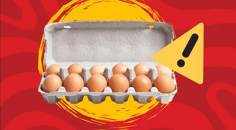 Massive egg recall affects 9 states: What you need to know about Salmonella contamination
