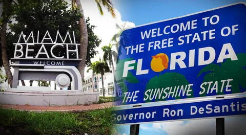What is the difference between Miami and Florida?