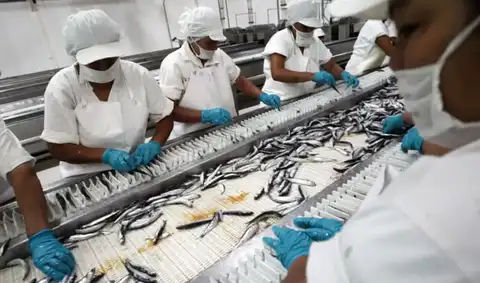 PBI desacelera por fenómeno El Niño, según el último informe de prevención del INEI