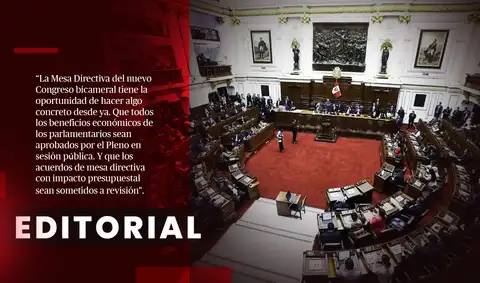 Los privilegios parlamentarios deben revisarse
