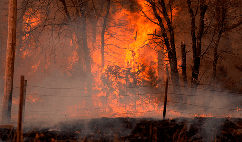 Oklahoma wildfires force evacuations as blazes spread across the state