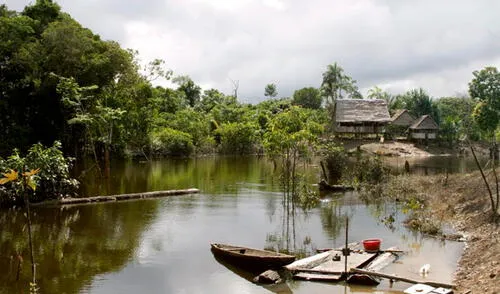 Lanzan importante estudio cartográfico de áreas naturales protegidas y territorios indígenas en la Amazonía