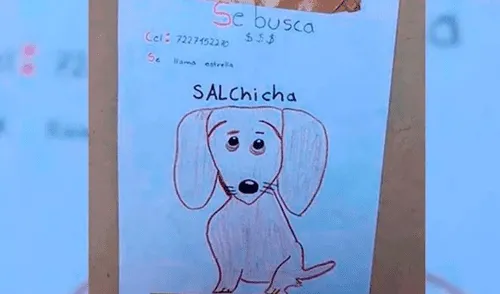 Usuarios de las redes sociales se han sumado a la búsqueda de 'Estrella'. (Foto: Twitter)