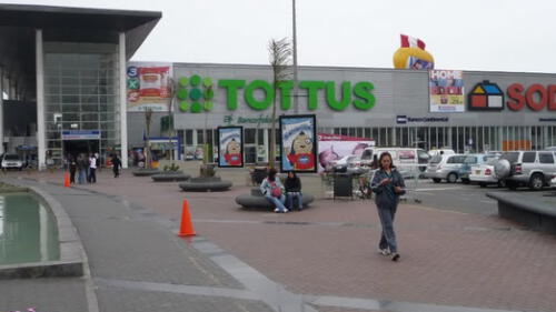 Tottus