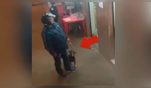 Facebook viral: perrito callejero se 'roba' cena de despistado cliente Facebook viral: perrito callejero se 'roba' cena de despistado cliente