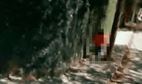 Google Maps: buscó dirección de su amiga y halló bochornosas fotos