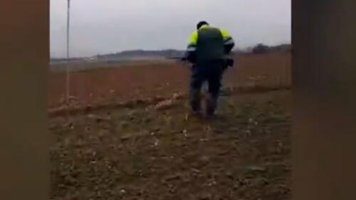 Brutal maltrato animal: cazadores se graban torturando a un zorro herido hasta matarlo 