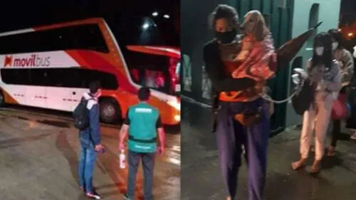 Mujer llevó a su perro de regreso a Moyobamba en plena emergencia y conmovió a todos