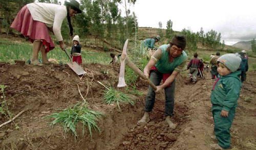 Sostienen que Agrobanco tiene fortaleza financiera para desarrollar el sector 