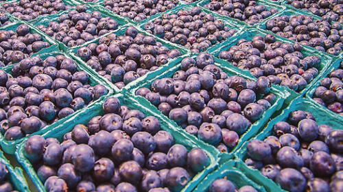 Agroexportación en La Libertad crece 20 % al año