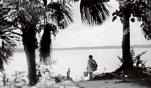 El ojo amazónico de Augusto Falconí 