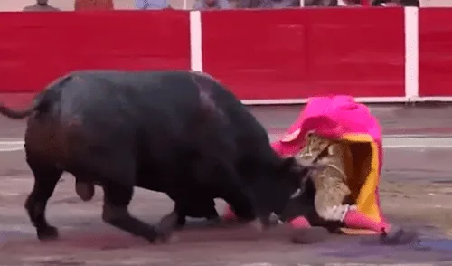 En YouTube, torero sufrió brutal cornada en el cuello, pero regresó al ruedo para matar al toro [VIDEO]