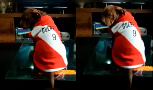 Pitbull queda triste luego que Perú fuese eliminado de Rusia 2018 [VIDEO]