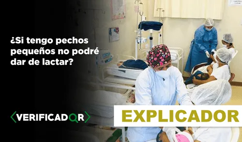 El tamaño de los pechos no incluye en la producción de leche. Foto: composición LR/Minsa. El tamaño de los pechos no incluye en la producción de leche. Foto: composición LR/Minsa.