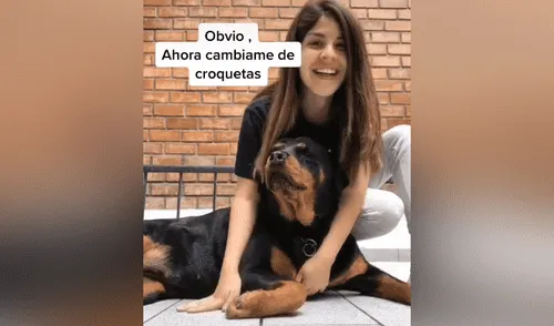 Desliza hacia la izquierda para ver las imágenes del video viral. Foto: captura de Facebook. Joven baila “Vida de rico” al lado de su perro y este tiene divertida reacción