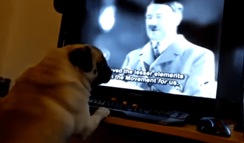 Vía YouTube: Hizo que su perro haga 'saludo nazi' y podría irse preso [VIDEO]