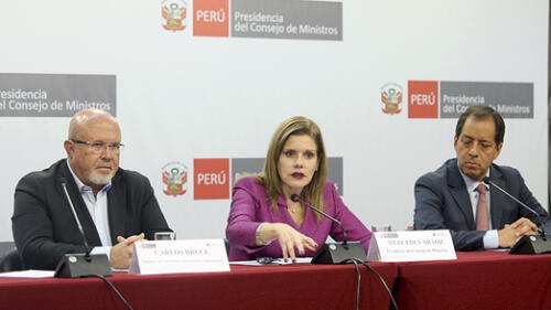 La próxima semana estará listo el pedido de facultades, adelanta Aráoz