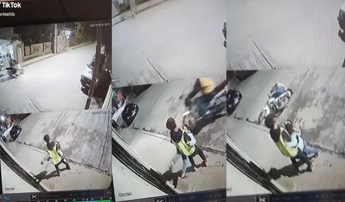 Revisa video de seguridad y descubre que cámara grabó divertida escena afuera de su casa
