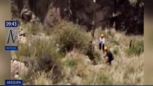 Arequipa: turista brasileño fue rescatado en el Valle del Colca