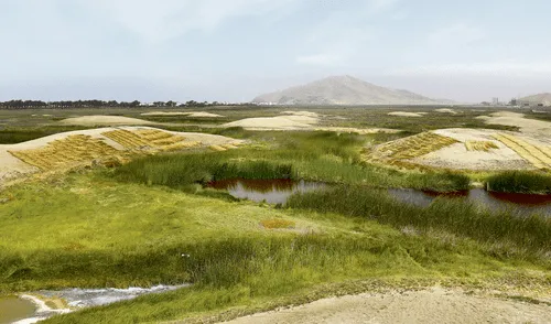 Wachaques de Puerto Viejo [VIDEO]