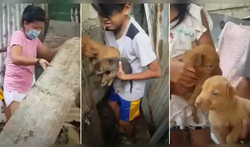 Mujer y su hijo rescatan a tres pequeños perros que fueron abandonados debajo de la basura [VIDEO]