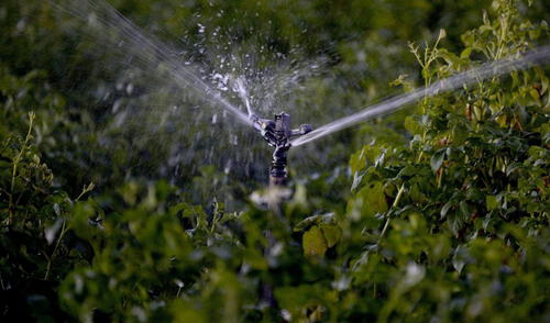 Día del agua: ¿Cómo reducir la pérdida hídrica en la agricultura?