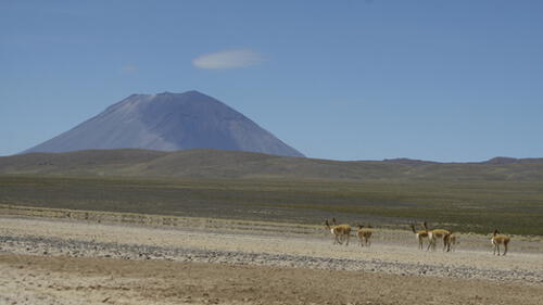 Arequipa: Incendio forestal en reserva Salinas y Aguada Blanca Arequipa: Incendio forestal en reserva Salinas y Aguada Blanca