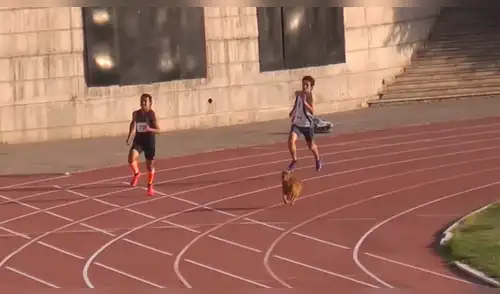 Facebook viral: perro ingresa a competencia de atletismos y humilla a todos los corredores [VIDEO]