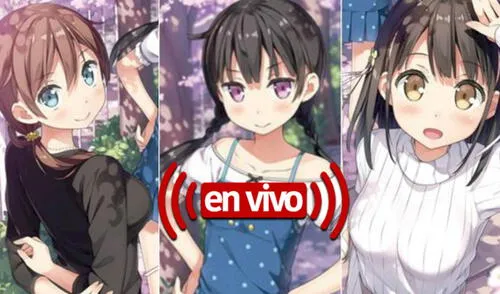 Crunchyroll describe la historia de la franquicia One Room con una “narrativa en primera persona”. Foto: Zero-G